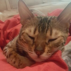 Meet your Posher, Justina